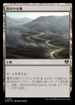 画像1: 【日本語】灰のやせ地/Ash Barrens