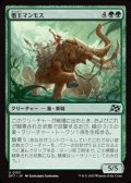 【日本語】僭王マンモス/Autarch Mammoth