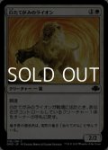 【日本語Foil】白たてがみのライオン/Whitemane Lion