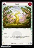 【JP Rainbow Foil】高収穫(064)