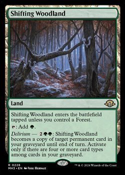 画像1: 【英語Foil】変容する森林/Shifting Woodland