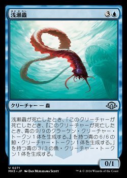 画像1: 【日本語】浅瀬蟲/Reef Worm