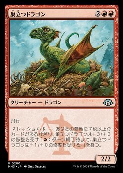 画像1: 【日本語】巣立つドラゴン/Fledgling Dragon