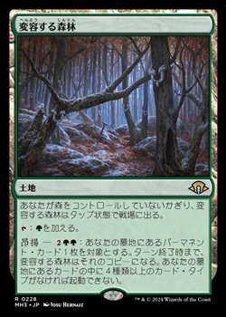 画像1: 【日本語】変容する森林/Shifting Woodland