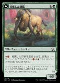 【日本語】結束した群獣/Bonded Herdbeast