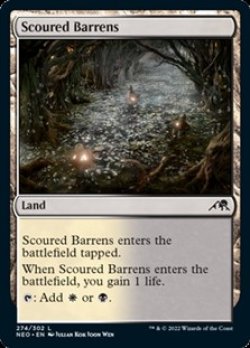 画像1: 【英語】磨かれたやせ地/Scoured Barrens