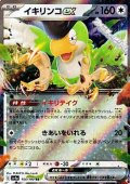 【RR】イキリンコex