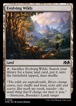 画像1: 【英語】進化する未開地/Evolving Wilds