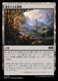 【日本語】進化する未開地/Evolving Wilds