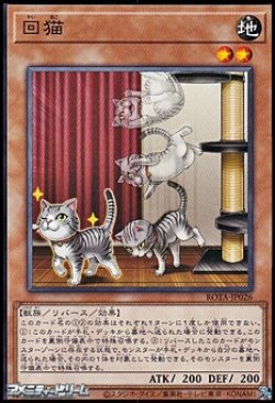 画像1: 【ノーマル】回猫