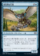 画像: 【日本語】寄生的な大梟/Parasitic Strix