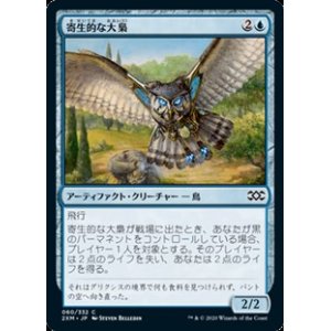 画像: 【日本語】寄生的な大梟/Parasitic Strix