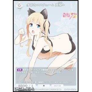 画像: 【SR+】多彩なコスチューム 英梨々