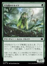 画像: 【日本語Foil】天気雨のドルイド/Sunshower Druid