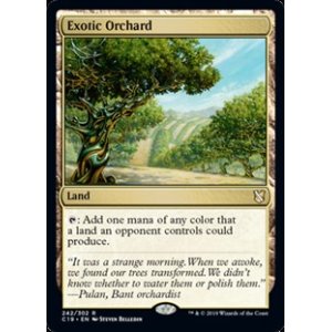 MTG 【Foil】風変わりな果樹園/Exotic Orchard１枚 avanza.com.br