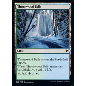 画像: 【英語】茨森の滝/Thornwood Falls