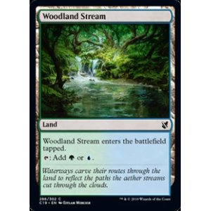 画像: 【英語】森林地の小川/Woodland Stream