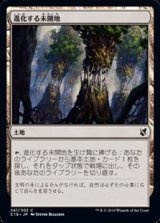 画像: 【日本語】進化する未開地/Evolving Wilds