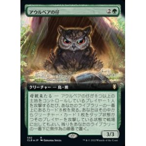 画像: ☆特殊枠【日本語】アウルベアの仔/Owlbear Cub