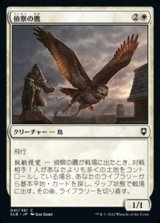 画像: 【日本語】偵察の鷹/Scouting Hawk