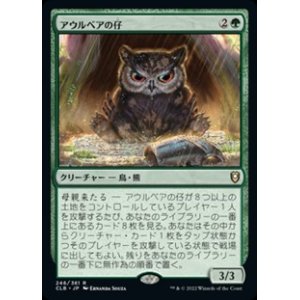 画像: 【日本語】アウルベアの仔/Owlbear Cub