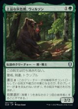 画像: 【日本語】上品な灰色熊、ウィルソン/Wilson, Refined Grizzly