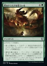 画像: 【日本語】君はタラスクを見ている/You Look Upon the Tarrasque