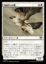 画像: 【日本語】地図作りの鷹/Cartographer's Hawk