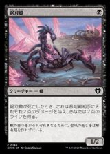 画像: 【日本語】鋸刃蠍/Serrated Scorpion