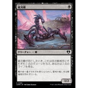 画像: 【日本語】鋸刃蠍/Serrated Scorpion