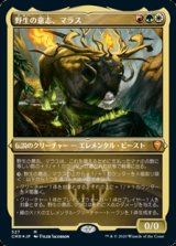 画像: ☆特殊枠【日本語Foil】野生の意志、マラス/Marath, Will of the Wild