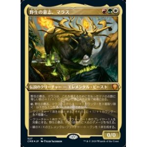 画像: ☆特殊枠【日本語Foil】野生の意志、マラス/Marath, Will of the Wild