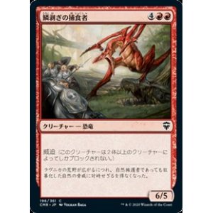 画像: 【日本語】鱗剥ぎの捕食者/Ripscale Predator