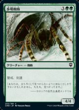 画像: 【日本語】歩哨蜘蛛/Sentinel Spider