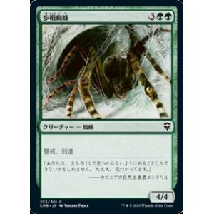 画像: 【日本語】歩哨蜘蛛/Sentinel Spider