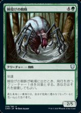 画像: 【日本語】棘投げの蜘蛛/Stingerfling Spider