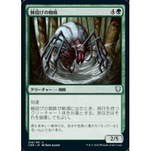 画像: 【日本語】棘投げの蜘蛛/Stingerfling Spider