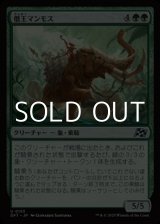 画像: 【日本語Foil】僭王マンモス/Autarch Mammoth