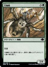 画像: 【日本語】大蜘蛛/Giant Spider