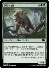 画像: 【日本語】共生する獣/Symbiotic Beast