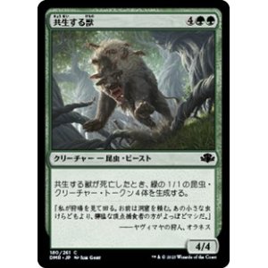 画像: 【日本語Foil】共生する獣/Symbiotic Beast