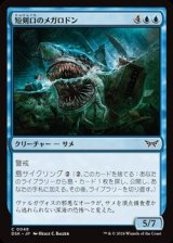 画像: 【日本語】短剣口のメガロドン/Daggermaw Megalodon