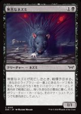 画像: 【日本語Foil】無害なネズミ/Innocuous Rat