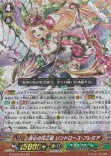 画像: 【GR】真心の花乙姫 リンドロース・プレミア