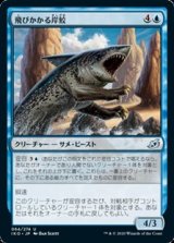 画像: 【日本語】飛びかかる岸鮫/Pouncing Shoreshark