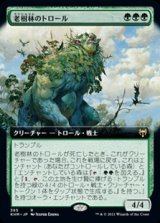 画像: ☆特殊枠【日本語】老樹林のトロール/Old-Growth Troll