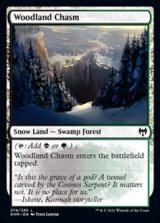 画像: 【英語】森林の地割れ/Woodland Chasm