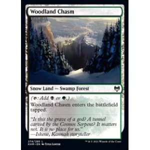 画像: 【英語】森林の地割れ/Woodland Chasm