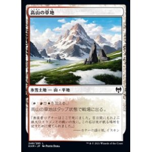 画像: 【日本語】高山の草地/Alpine Meadow