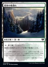 画像: 【日本語】森林の地割れ/Woodland Chasm